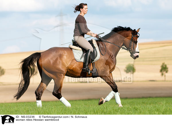 woman rides Hessian warmblood / NS-03236