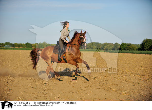 woman rides Hessian Warmblood / YJ-07858