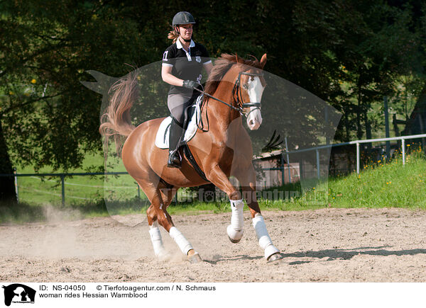woman rides Hessian Warmblood / NS-04050