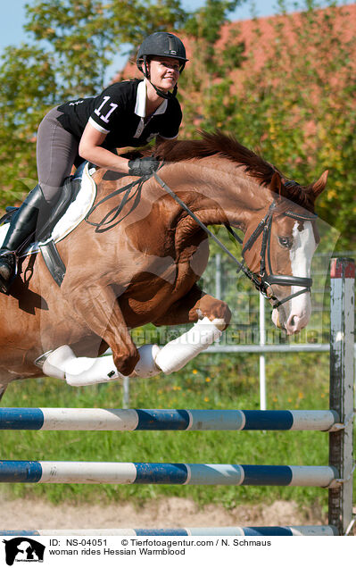 woman rides Hessian Warmblood / NS-04051