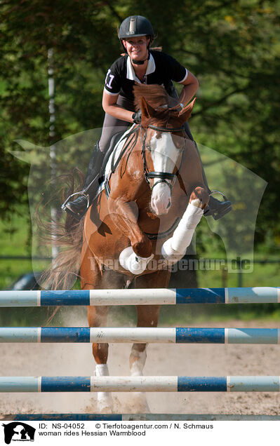 woman rides Hessian Warmblood / NS-04052