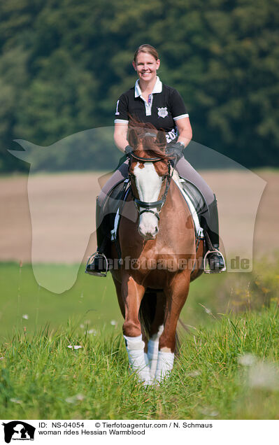 Frau reitet Hessisches Warmblut / woman rides Hessian Warmblood / NS-04054