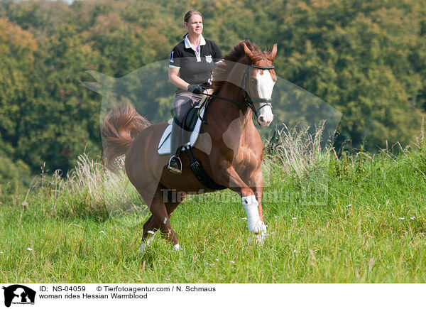 woman rides Hessian Warmblood / NS-04059