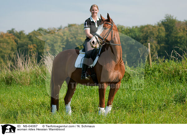woman rides Hessian Warmblood / NS-04067