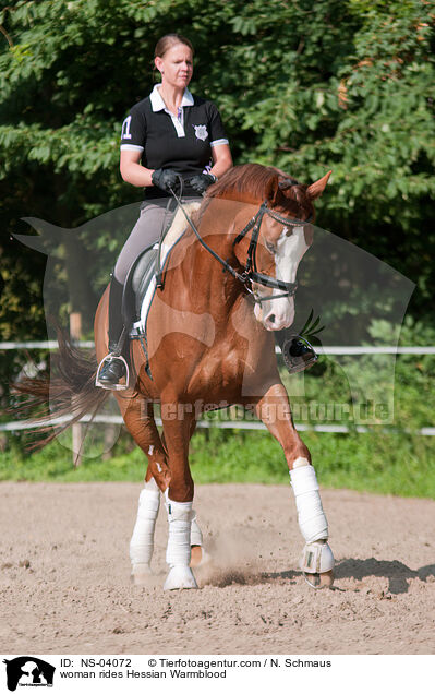 woman rides Hessian Warmblood / NS-04072