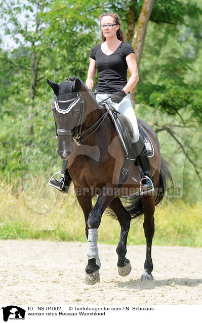 woman rides Hessian Warmblood / NS-04602