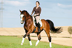 woman rides Hessian warmblood