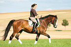 woman rides Hessian warmblood