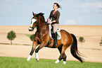 woman rides Hessian warmblood
