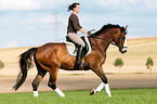 woman rides Hessian warmblood