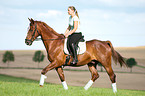 woman rides Hessian warmblood