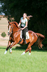 woman rides Hessian warmblood