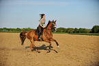 woman rides Hessian Warmblood