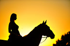 woman rides Hessian Warmblood