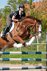 woman rides Hessian Warmblood