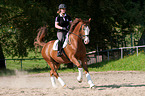 woman rides Hessian Warmblood
