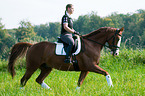 woman rides Hessian Warmblood