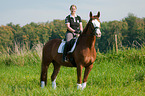 woman rides Hessian Warmblood