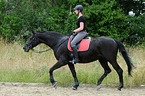 woman rides Hessian Warmblood