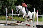 woman rides Hessian Warmblood