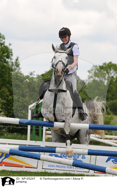 jumping / AP-05247