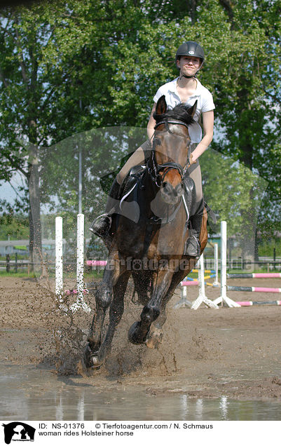Holsteiner unter dem Reiter / woman rides Holsteiner horse / NS-01376