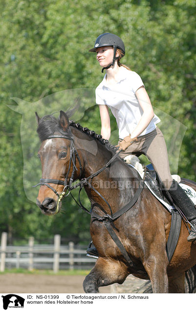 Holsteiner unter dem Reiter / woman rides Holsteiner horse / NS-01399