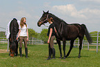 jwomen and Holsteiner horses