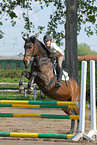 jumping Holsteiner horse