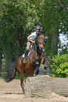 jumping Holsteiner horse
