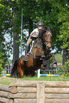jumping Holsteiner horse