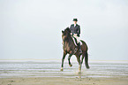 woman rides Holsteiner warmblood