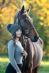 holsteins horse