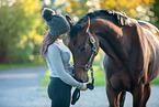 holsteins horse
