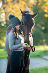 holsteins horse