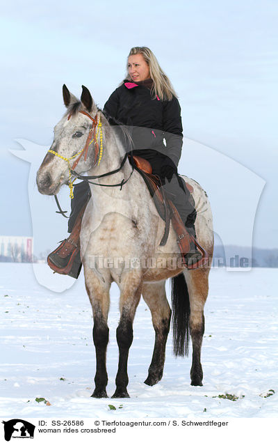 Frau reitet Appaloosa-Mix / woman rides crossbreed / SS-26586