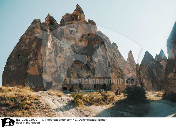rider in the desert / CDE-02932