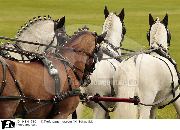 Pferdegespann / horse and cart / HS-01530