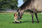 girl with horse