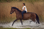 woman with horse