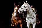 2 horses