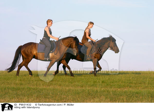 Freizeitreiten mit Islndern / riding with Islandpony / PM-01432
