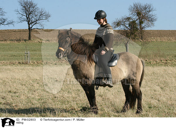 Freizeitreiten / riding / PM-02803