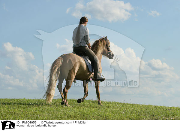 Frau auf Islnder / woman rides Icelandic horse / PM-04059