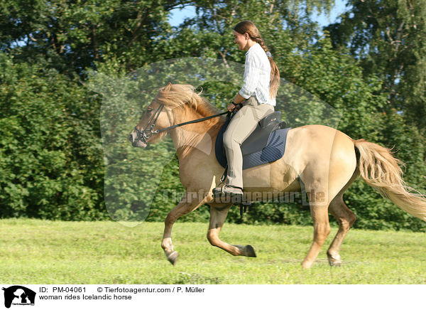 Frau auf Islnder / woman rides Icelandic horse / PM-04061