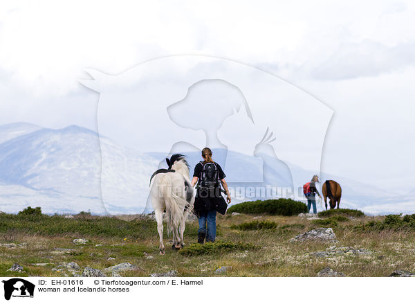 woman and Icelandic horses / EH-01616