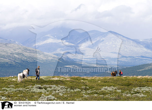 woman and horses / EH-01624