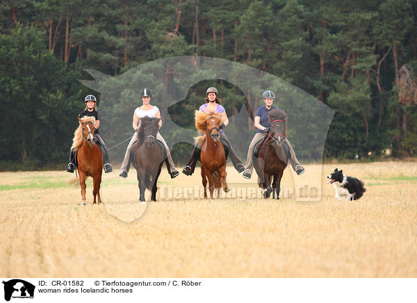 Frauen reiten Islnder / woman rides Icelandic horses / CR-01582
