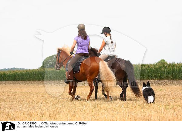 Frauen reiten Islnder / woman rides Icelandic horses / CR-01595