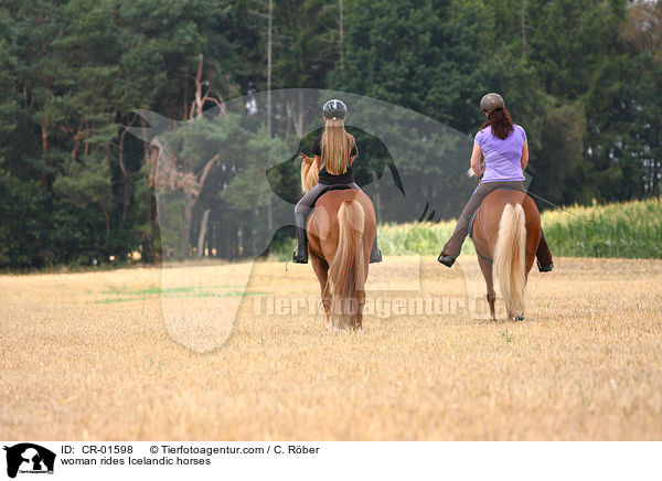 Frauen reiten Islnder / woman rides Icelandic horses / CR-01598